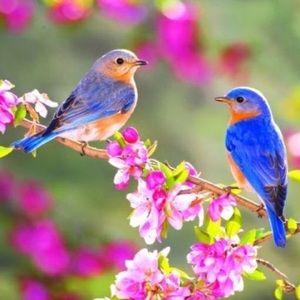 Meet your Posher, Anais